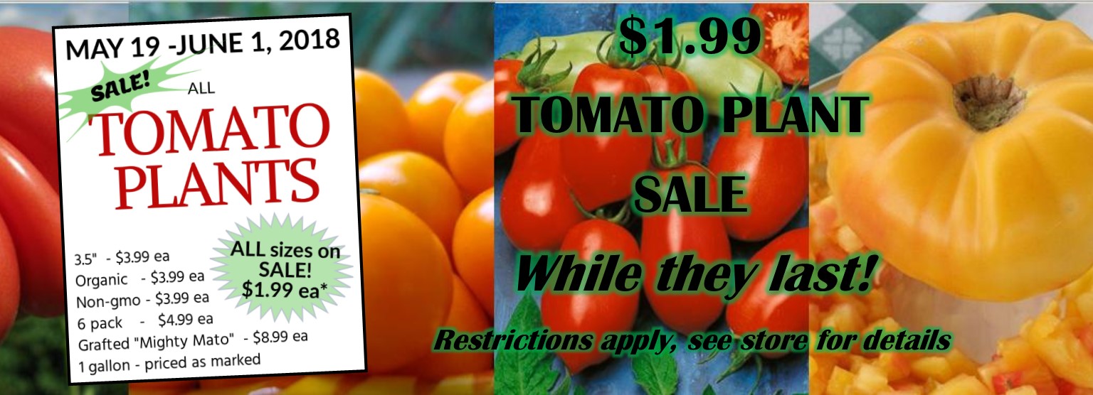 1.99 Tomato Sale