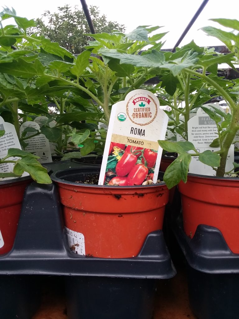 Growing a Spaghetti Garden - Marin Ace Hardware - San Rafael, CA