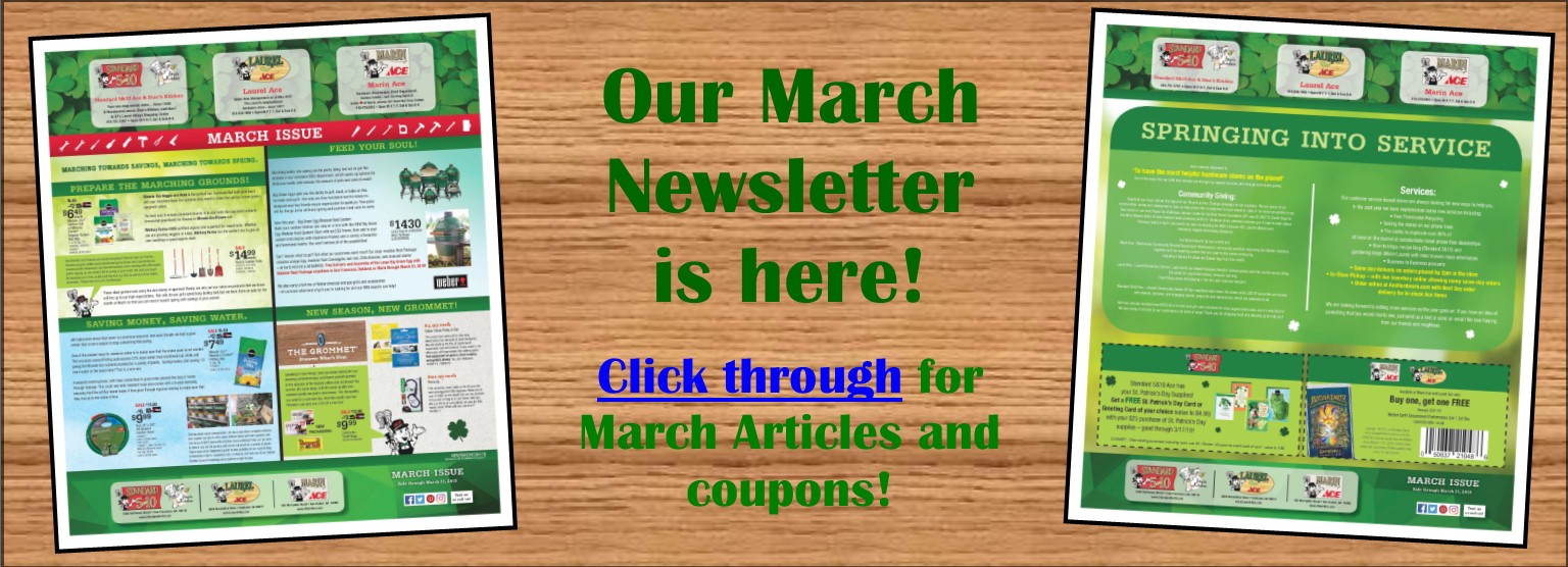 March Newsletter