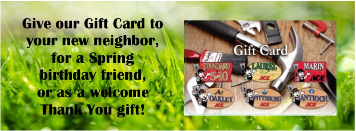 spring gift card slider