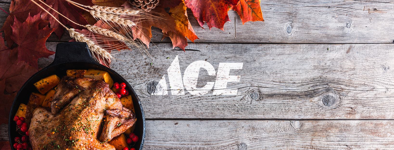 Thanksgiving Ace Banner